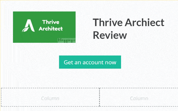 Thrive Architect Review 2022: Pros, Cons & Best 3