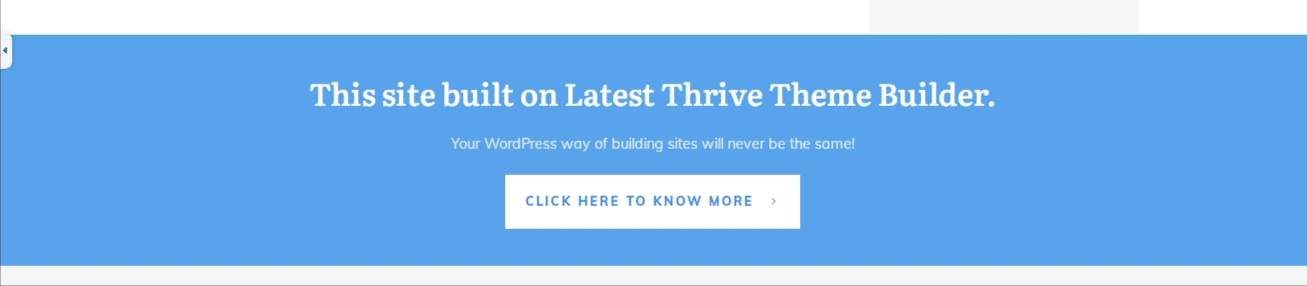 Thrive Theme Builder Review - Is This Theme Any Good? 12