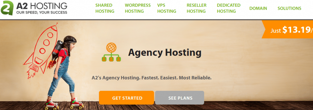 Best WordPress Hosting For Agencies of 2022 5