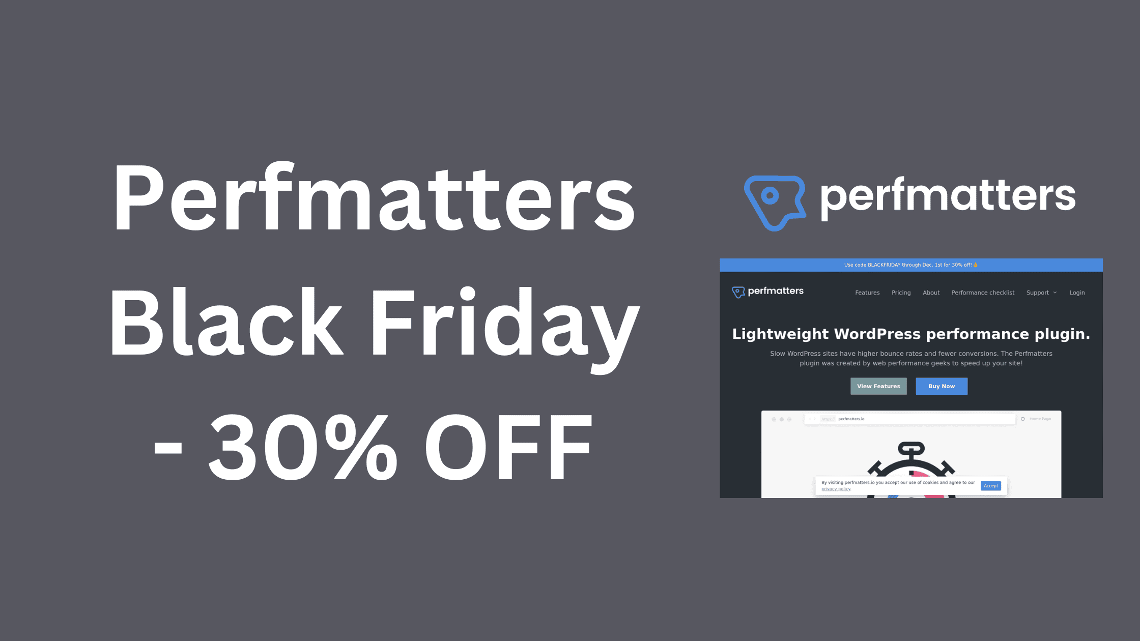 Perfmatters Black Friday Deals 2023 - 30% OFF Coupon 1