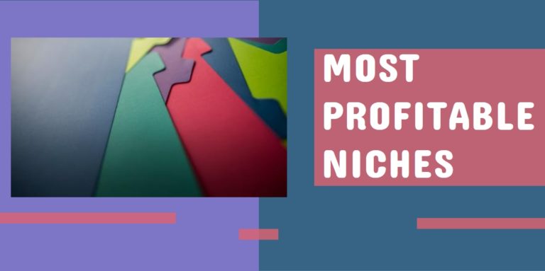 15 Most Profitable Niches In 2024